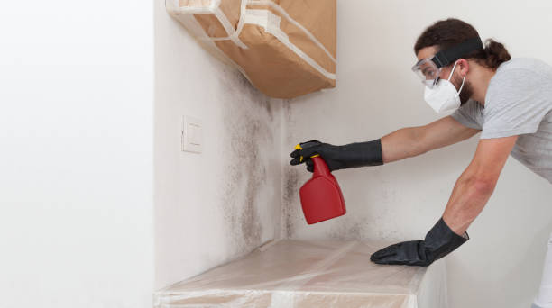 Professional Bathroom Mold Removal technician working in Roselle Park, NJ